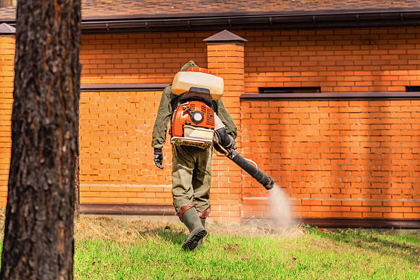 Trusted Mosquito Control service in West Pelzer, SC - Nex Pest Control